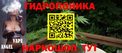 ПСИЛОЦИБИНОВЫЕ ГРИБЫ Аргун
