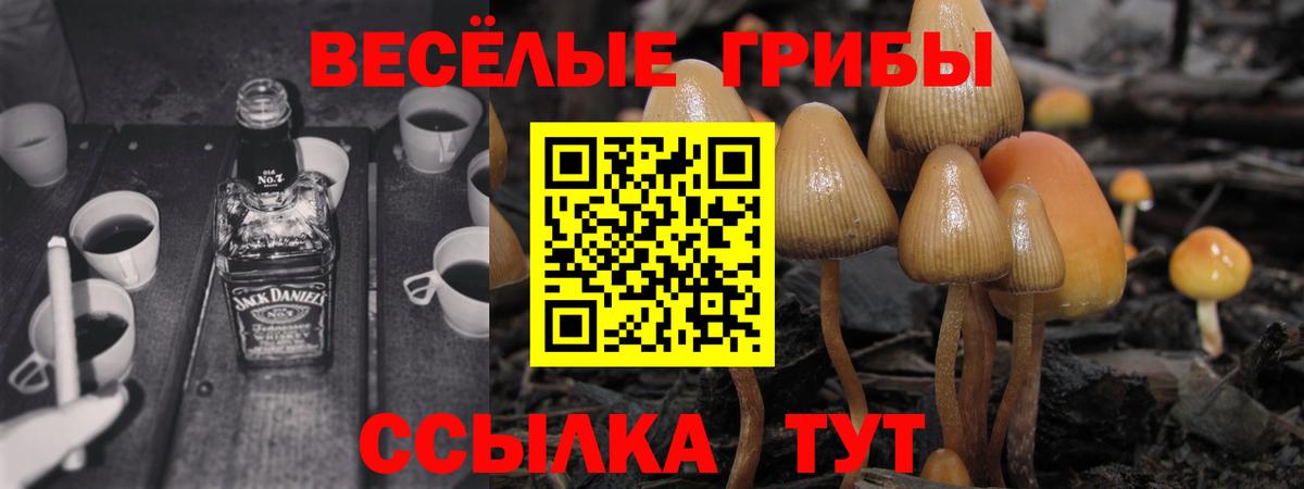 Псилоцибиновые грибы ЛСД  Псилоцибиновые грибы MAGIC MUSHROOMS  Баксан  Вход с VPN 