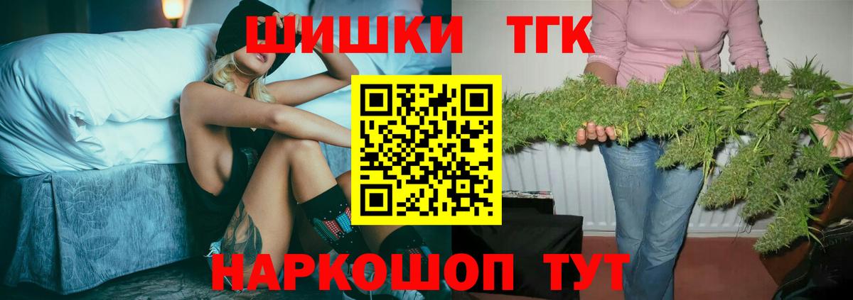 Конопля сатива Баксан